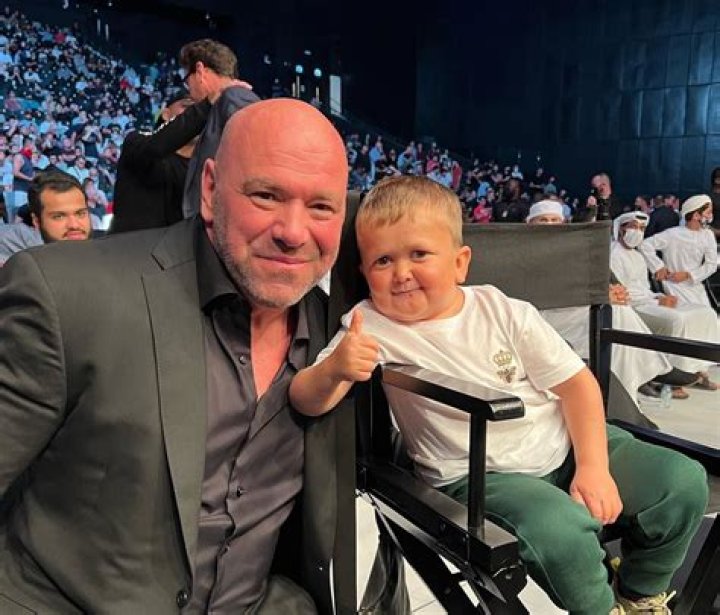 Hasbulla Magomedov Net Worth: Richer Than You Think