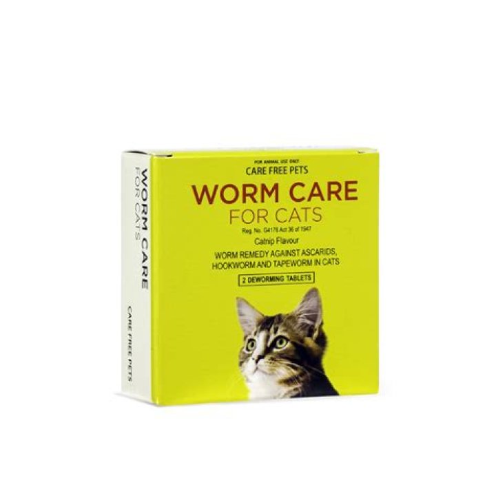How often can you take worm tablets?