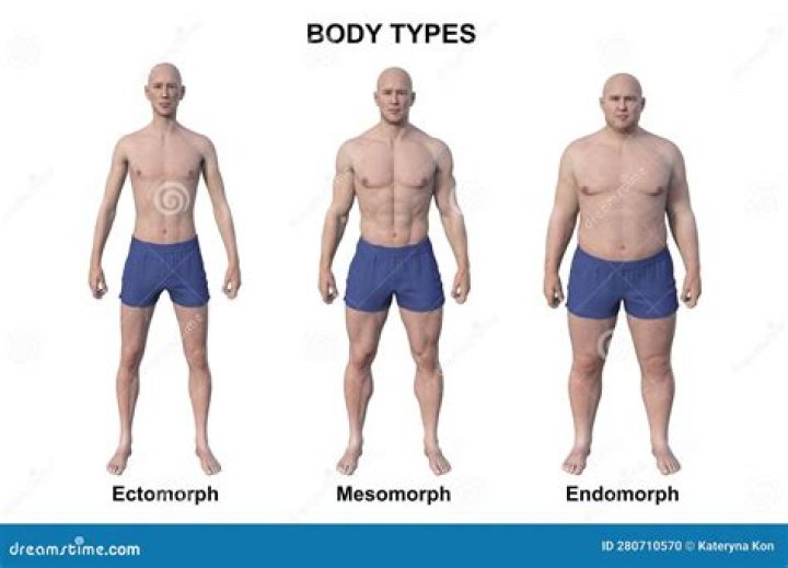 What is Ectomorphy?