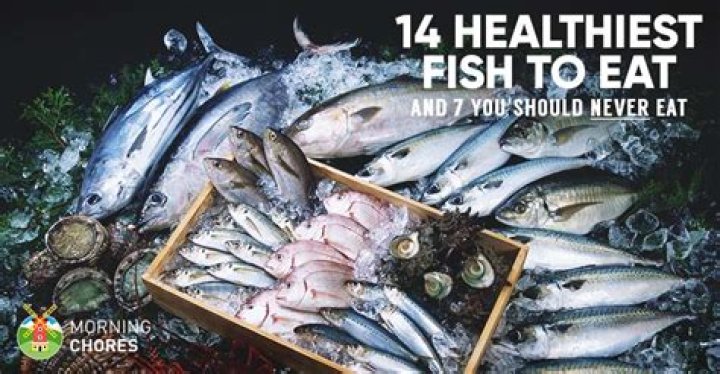 Which is the best fish to eat?