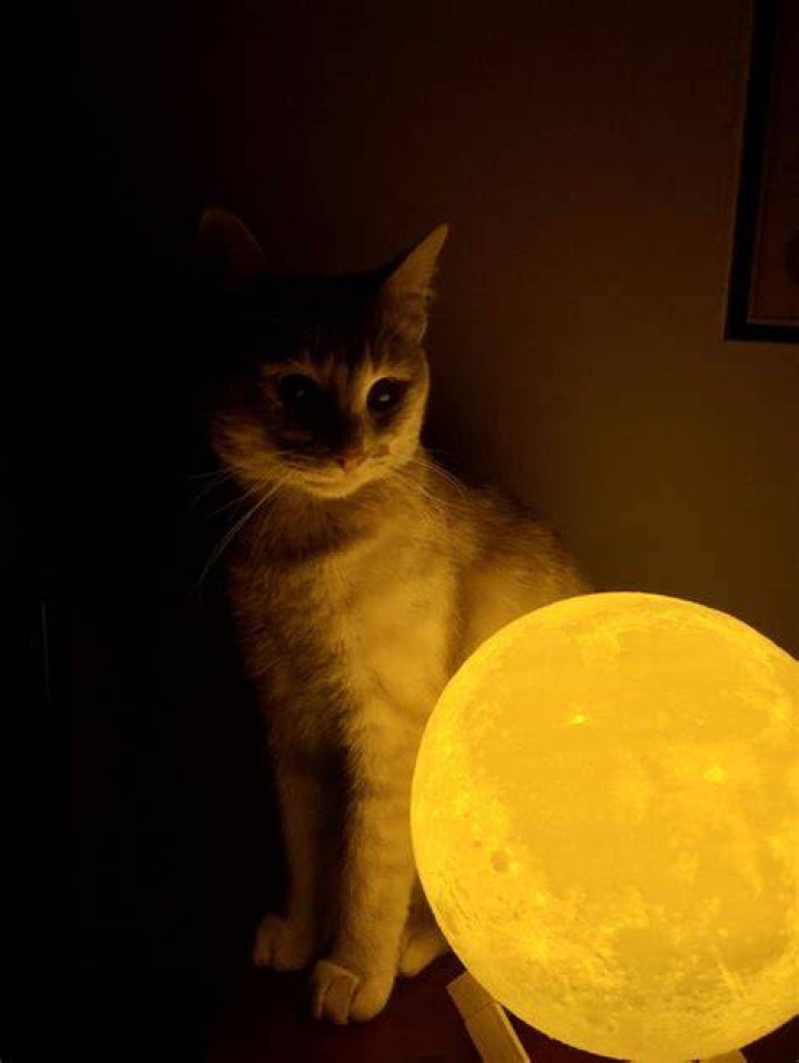 Who was plotting to steal the Moon?