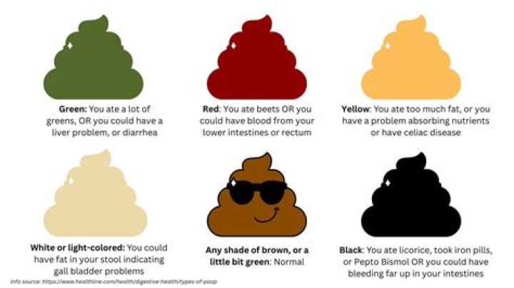 Why does my poop look like pudding?